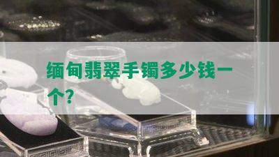 缅甸翡翠手镯多少钱一个？