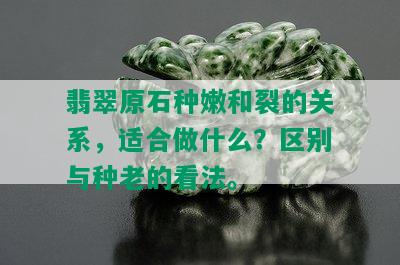 翡翠原石种嫩和裂的关系，适合做什么？区别与种老的看法。