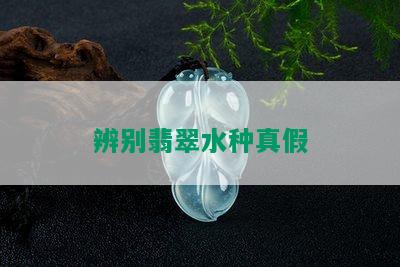 辨别翡翠水种真假