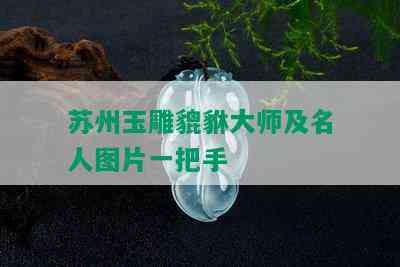 苏州玉雕貔貅大师及名人图片一把手