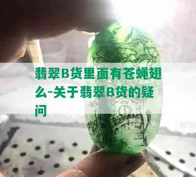 翡翠B货里面有苍蝇翅么-关于翡翠B货的疑问