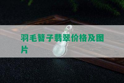 羽毛簪子翡翠价格及图片