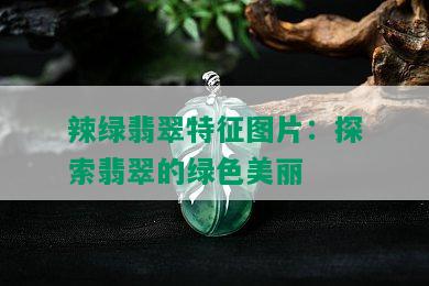 辣绿翡翠特征图片：探索翡翠的绿色美丽