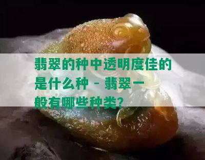 翡翠的种中透明度佳的是什么种 - 翡翠一般有哪些种类？