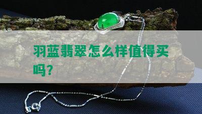 羽蓝翡翠怎么样值得买吗？