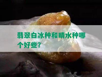 翡翠白冰种和晴水种哪个好些？