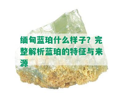 缅甸蓝珀什么样子？完整解析蓝珀的特征与来源