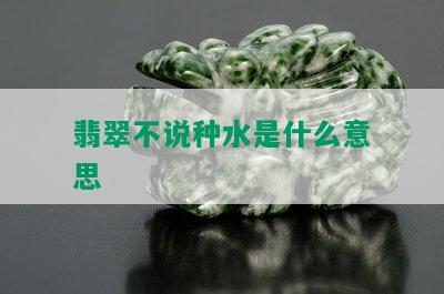 翡翠不说种水是什么意思