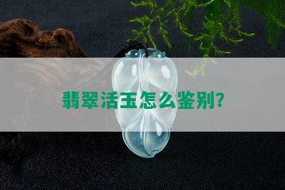 翡翠活玉怎么鉴别？