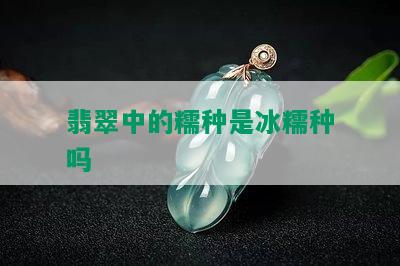 翡翠中的糯种是冰糯种吗