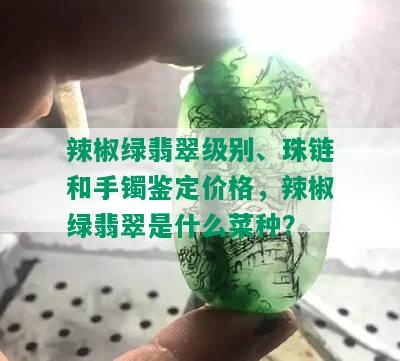 辣椒绿翡翠级别、珠链和手镯鉴定价格，辣椒绿翡翠是什么菜种？