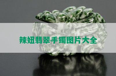 辣妞翡翠手镯图片大全