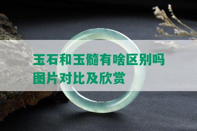 玉石和玉髓有啥区别吗图片对比及欣赏