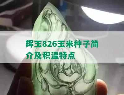 辉玉826玉米种子简介及积温特点