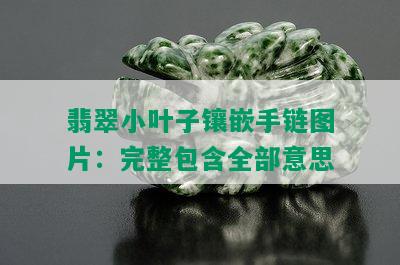 翡翠小叶子镶嵌手链图片：完整包含全部意思