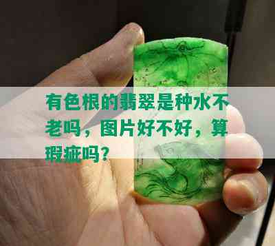 有色根的翡翠是种水不老吗，图片好不好，算瑕疵吗？