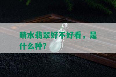 晴水翡翠好不好看，是什么种？