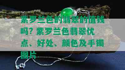 紫罗兰色的翡翠的值钱吗? 紫罗兰色翡翠优点、好处、颜色及手镯图片