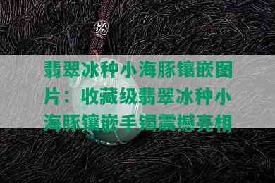 翡翠冰种小海豚镶嵌图片：收藏级翡翠冰种小海豚镶嵌手镯震撼亮相