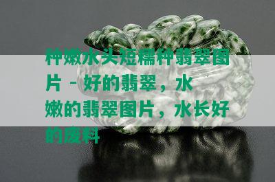 种嫩水头短糯种翡翠图片 - 好的翡翠，水嫩的翡翠图片，水长好的废料