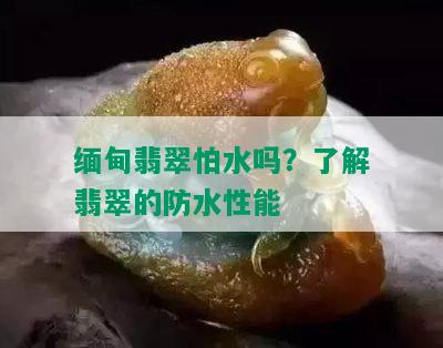 缅甸翡翠怕水吗？了解翡翠的防水性能