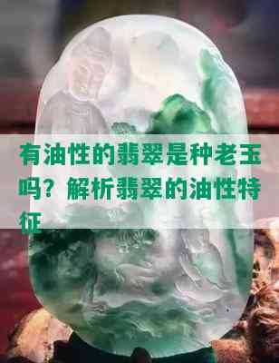 有油性的翡翠是种老玉吗？解析翡翠的油性特征