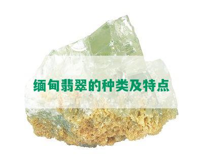 缅甸翡翠的种类及特点