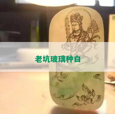 老坑玻璃种白