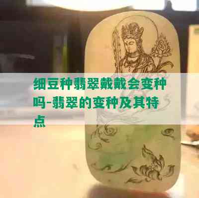 细豆种翡翠戴戴会变种吗-翡翠的变种及其特点