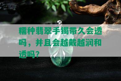 糯种翡翠手镯带久会透吗，并且会越戴越润和透吗？