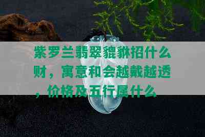 紫罗兰翡翠貔貅招什么财，寓意和会越戴越透，价格及五行属什么