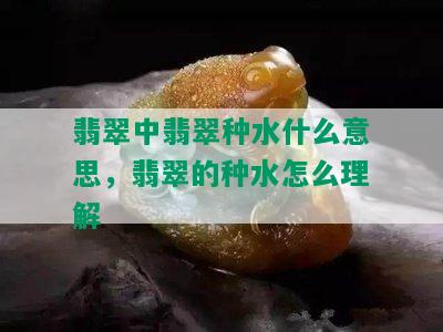 翡翠中翡翠种水什么意思，翡翠的种水怎么理解