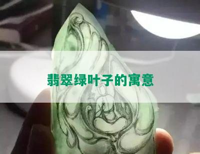 翡翠绿叶子的寓意