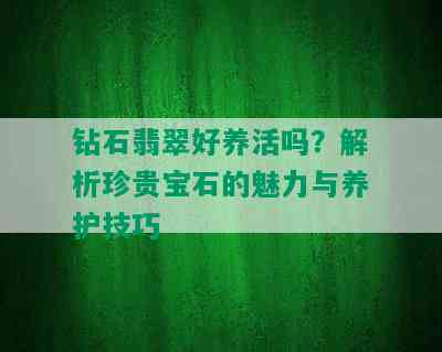 钻石翡翠好养活吗？解析珍贵宝石的魅力与养护技巧