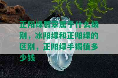 正阳绿翡翠属于什么级别，冰阳绿和正阳绿的区别，正阳绿手镯值多少钱