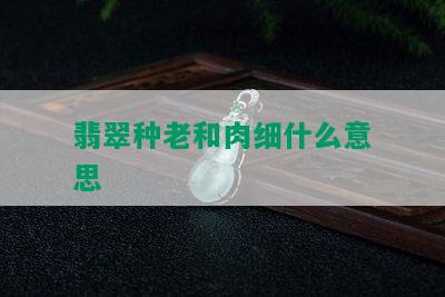 翡翠种老和肉细什么意思