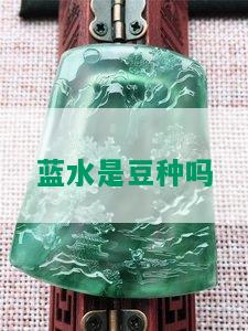 蓝水是豆种吗