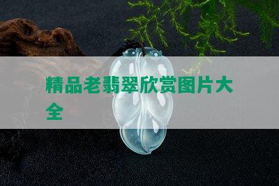 精品老翡翠欣赏图片大全