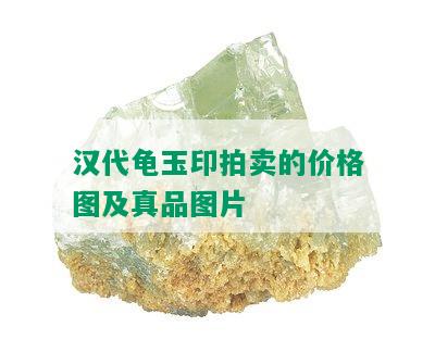 汉代龟玉印拍卖的价格图及真品图片