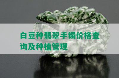 白豆种翡翠手镯价格查询及种植管理