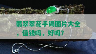 翡翠翠花手镯图片大全，值钱吗，好吗？