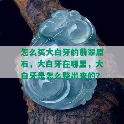 怎么买大白牙的翡翠原石，大白牙在哪里，大白牙是怎么整出来的？