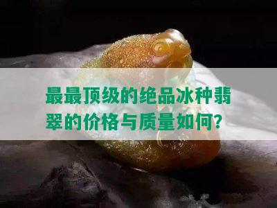 最最顶级的绝品冰种翡翠的价格与质量如何？