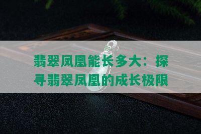 翡翠凤凰能长多大：探寻翡翠凤凰的成长极限