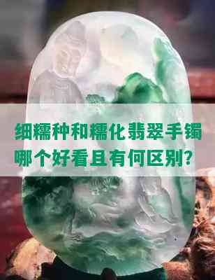 细糯种和糯化翡翠手镯哪个好看且有何区别？