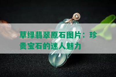 草绿翡翠原石图片：珍贵宝石的迷人魅力