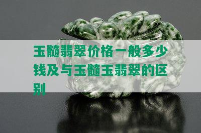 玉髓翡翠价格一般多少钱及与玉髓玉翡翠的区别