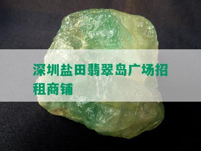 深圳盐田翡翠岛广场招租商铺