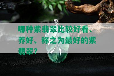 哪种紫翡翠比较好看、养好、称之为更好的紫翡翠？