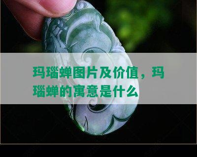 玛瑙蝉图片及价值，玛瑙蝉的寓意是什么